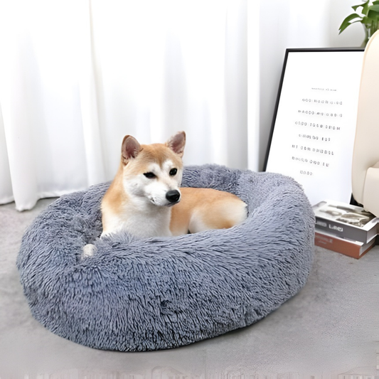 【本日終了！NO.1位 獲得】 KIVOON BED™